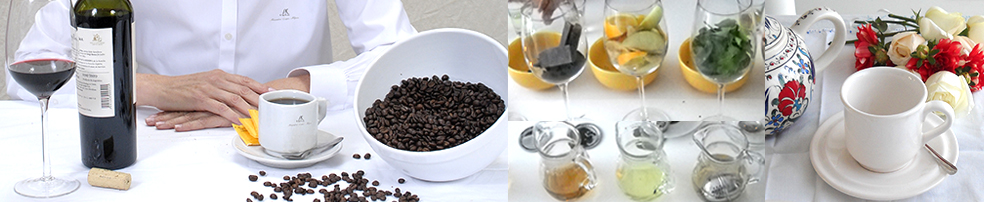 Alejandra López Alfaro, Servicios